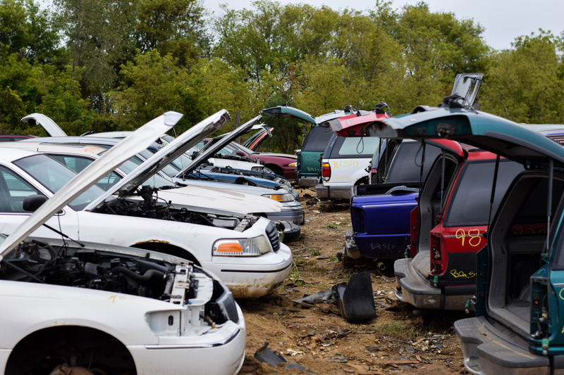 Illustration for article titled Salvage Yard